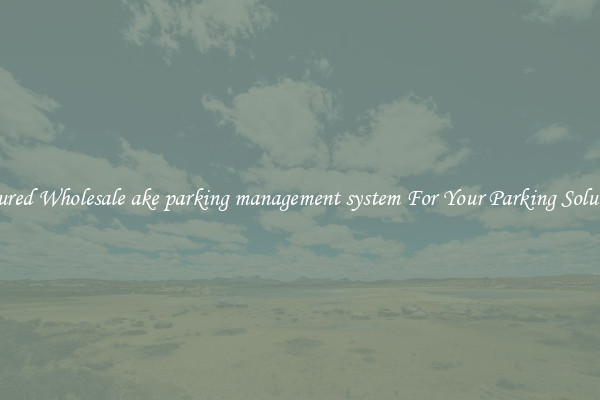 Featured Wholesale ake parking management system For Your Parking Solutions 