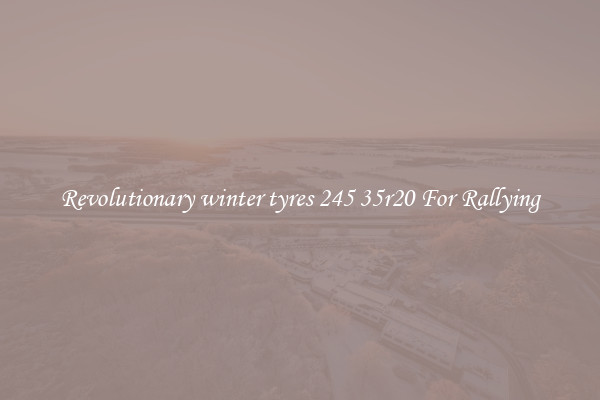 Revolutionary winter tyres 245 35r20 For Rallying