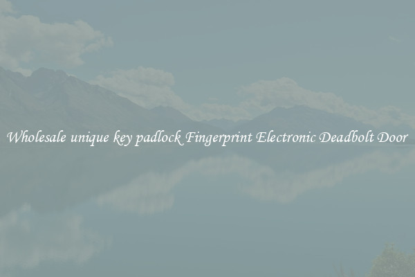 Wholesale unique key padlock Fingerprint Electronic Deadbolt Door 