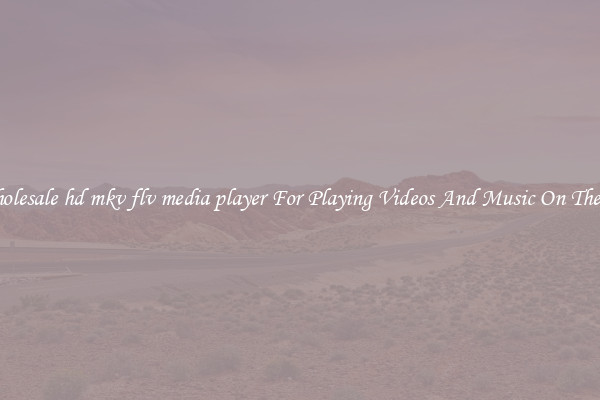 Wholesale hd mkv flv media player For Playing Videos And Music On The Go