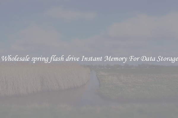 Wholesale spring flash drive Instant Memory For Data Storage