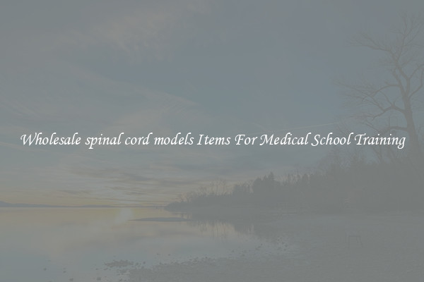 Wholesale spinal cord models Items For Medical School Training