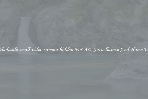 Wholesale small video camera hidden For Art, Survellaince And Home Use