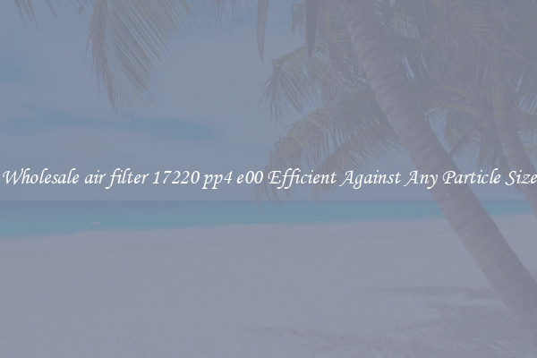 Wholesale air filter 17220 pp4 e00 Efficient Against Any Particle Size