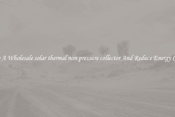 Buy A Wholesale solar thermal non pressure collector And Reduce Energy Costs