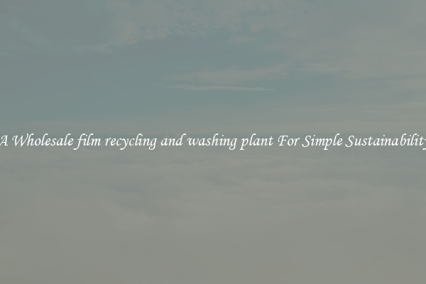  A Wholesale film recycling and washing plant For Simple Sustainability 
