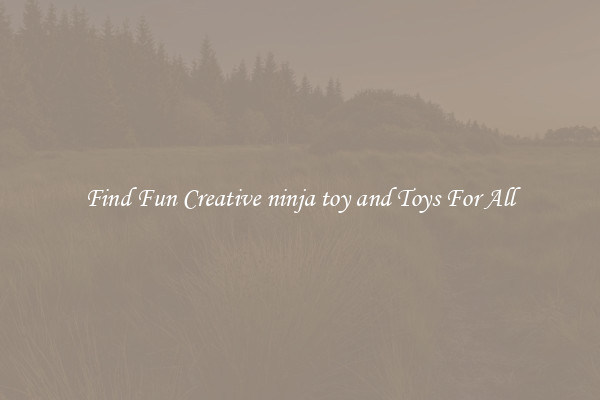 Find Fun Creative ninja toy and Toys For All