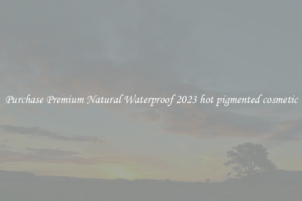 Purchase Premium Natural Waterproof 2023 hot pigmented cosmetic