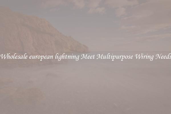 Wholesale european lightning Meet Multipurpose Wiring Needs