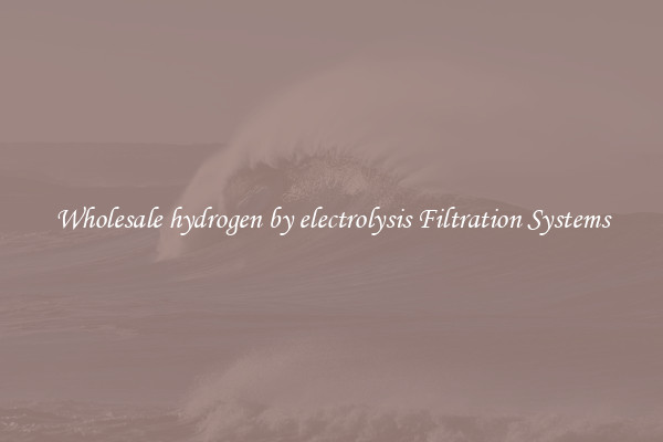 Wholesale hydrogen by electrolysis Filtration Systems