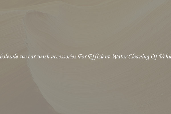 Wholesale we car wash accessories For Efficient Water Cleaning Of Vehicles