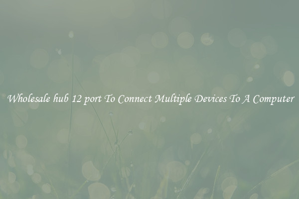 Wholesale hub 12 port To Connect Multiple Devices To A Computer