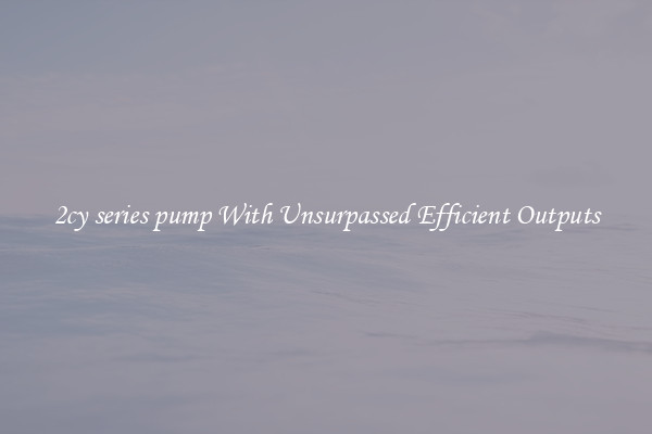 2cy series pump With Unsurpassed Efficient Outputs