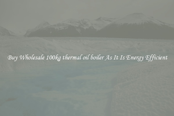 Buy Wholesale 100kg thermal oil boiler As It Is Energy Efficient