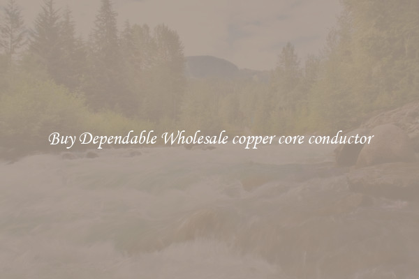 Buy Dependable Wholesale copper core conductor