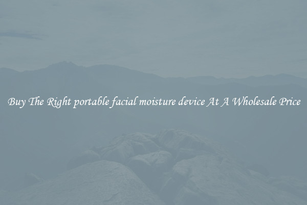 Buy The Right portable facial moisture device At A Wholesale Price