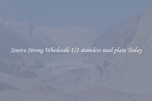 Source Strong Wholesale 1/2 stainless steel plate Today