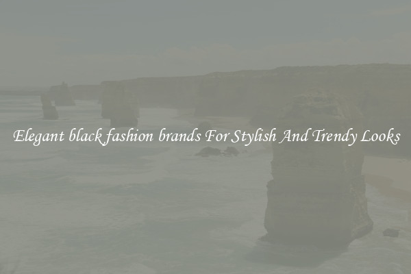 Elegant black fashion brands For Stylish And Trendy Looks