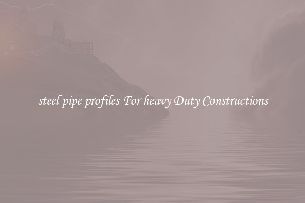 steel pipe profiles For heavy Duty Constructions