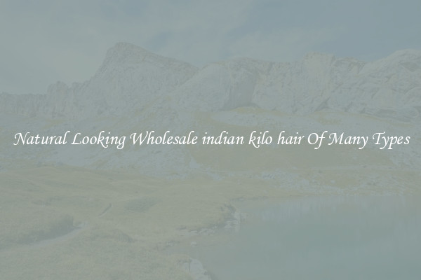 Natural Looking Wholesale indian kilo hair Of Many Types